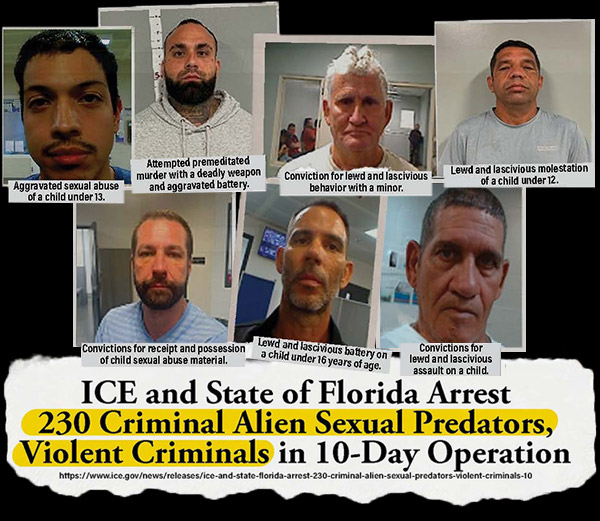 Criminal mugshots with headline: &ldquo;ICE and State of Florida Arrest 230 Criminal Alien Sexual Predators, Violent Criminals in 10-Day Operation&rdquo;
